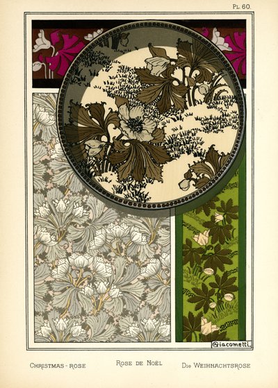 The Christmas Rose by Giovanni Giacometti